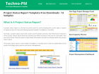 Project Status Report Templates screenshot